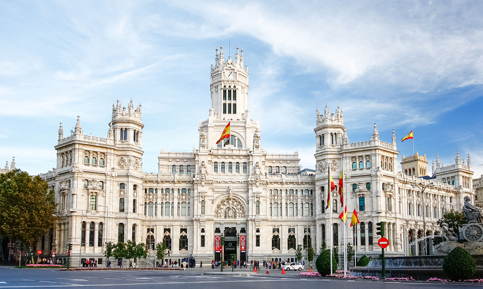 Vitamin D After Kidney Transplantation Metabolism and Clinical