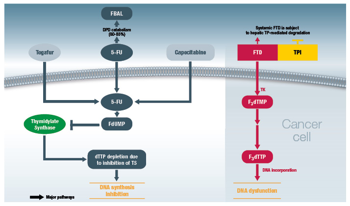 TAS 102 mechanism of action compared to 5-FU