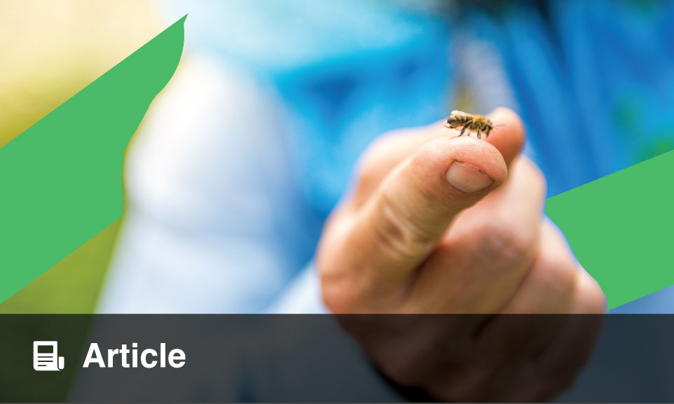 Allergy to Stinging Insects: Diagnosis and Management - EMJ