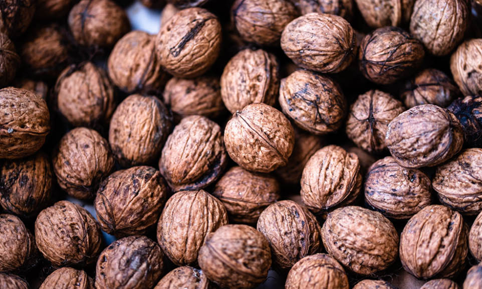Could Walnuts decrease Cardiovascular Risk Factors?