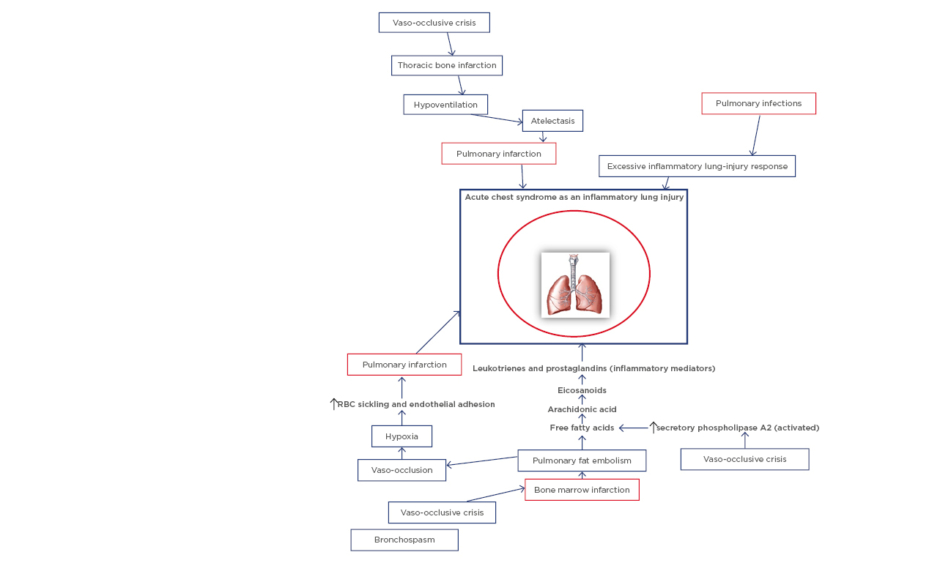 EMJ Hematology US 1.1 2020