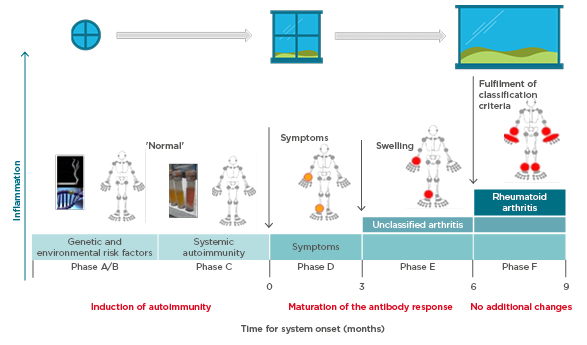 Figure 1: Windows of opportunity in rheumatoid arthritis pathogenesis, aligned to the six phases of preclinical and earliest clinically apparent rheumatoid arthritis.