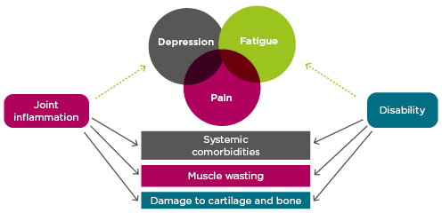 Figure 2: Indicators of disability in rheumatoid arthritis and the role of inflammation