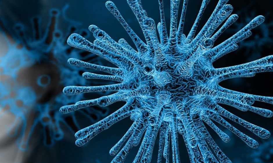 China Coronavirus Diagnosed Using Chest CT Scans