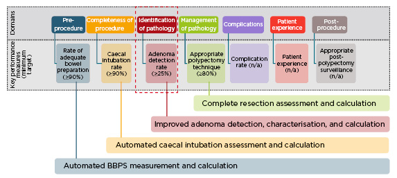 Key performance measures for colonoscopy: potential role of artificial intelligence