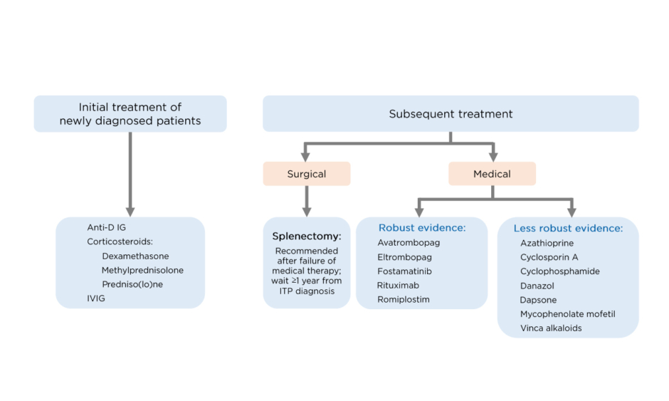 Doing More for Patients with Immune Thrombocytopenia