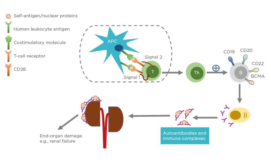 Expanding the Role of CAR-T Cell Therapy to Systemic Lupus Erythematosus