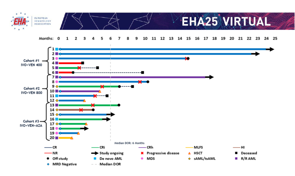 Phase Ib/II Study of the IDH1-Mutant Inhibitor Ivosidenib