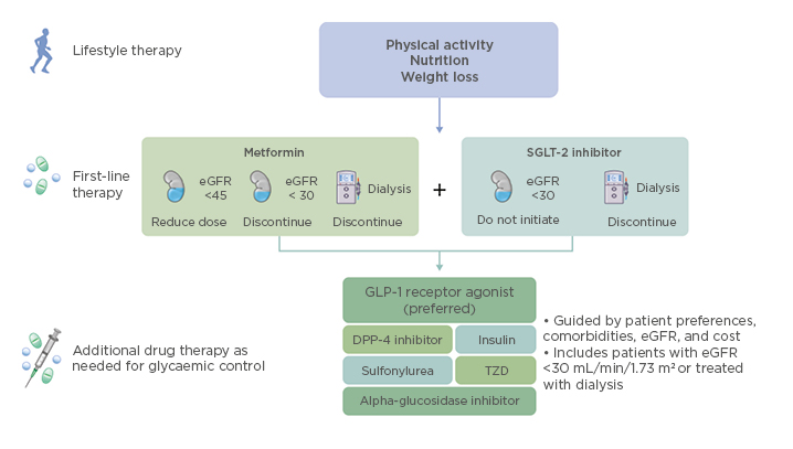 Figure 3 - Overview of therapy options for patients with diabetes and chronic kidney disease