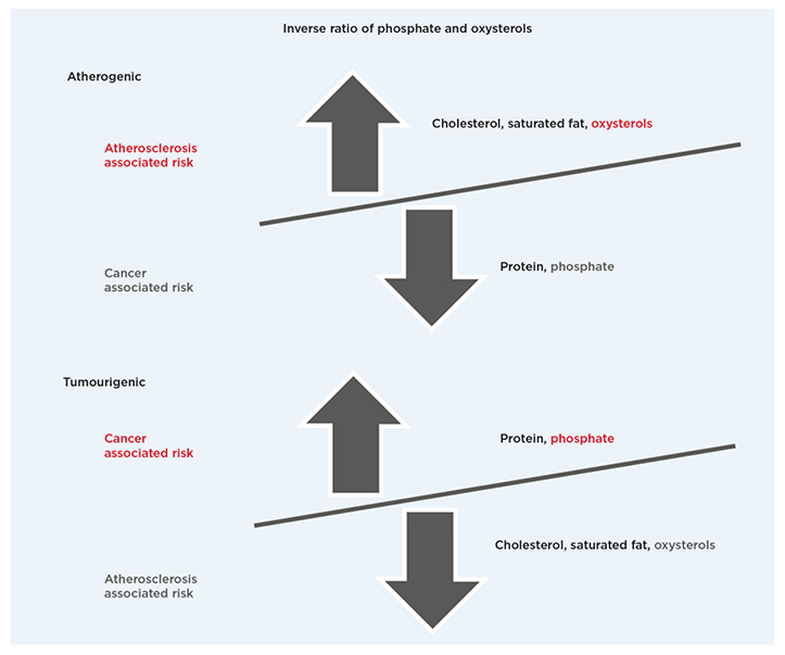 Figure 1 Dietary patterns