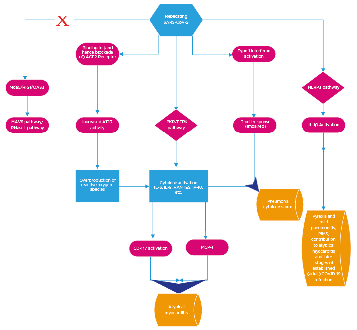 Primer on the Pathogenesis of Severe COVID-19: Part One - European ...