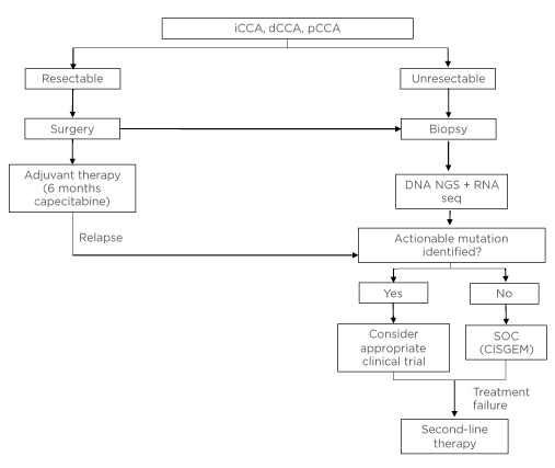 Figure 1 Proposed clinical workup for patients with unresectable or metastatic cholangiocarcinoma