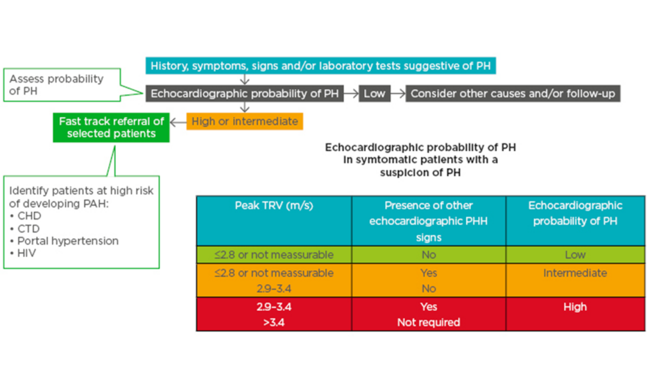 Role of strain echocardiography in patients with hypertension