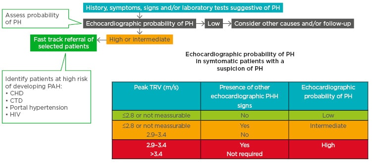 Figure 1 A fast-track referral is recommended for patients with a high pretest probability for pulmonary