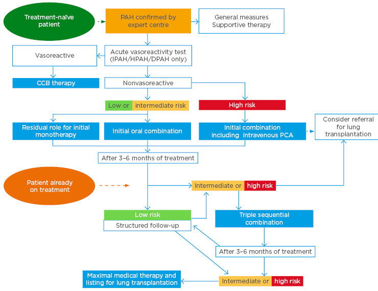 Figure 1 Treatment algorithm for patients with pulmonary arterial hypertension