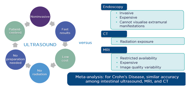 Figure 3 What is currently known about intestinal ultrasound