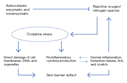 Figure 2 Oxidative stress and its role in skin barrier defects and inflammation.11