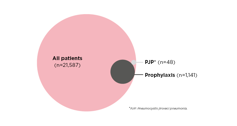Figure 1 Proportional Venn diagram showing prevalence of pneumocystis jiroveci pneumonia and prophylaxis among patients with rheumatic disease.