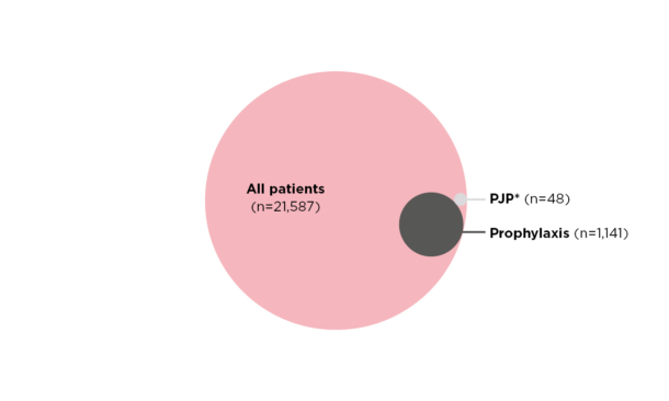 Epidemiology, Predictors of Mortality and Role of Prophylaxis for Pneumocystis jiroveci Pneumonia Among Patients with Rheumatic Diseases: A Territory-Wide Study