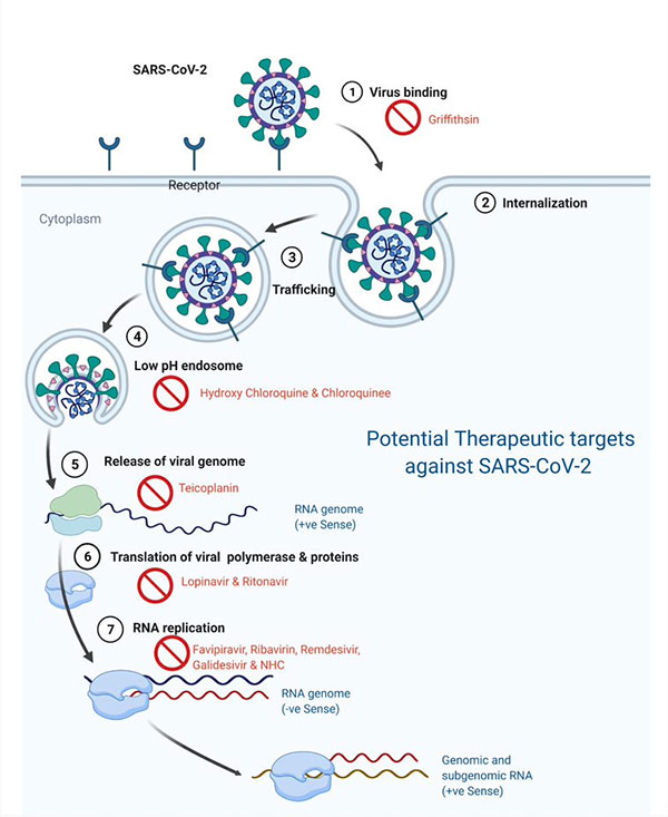 Understanding SARS-CoV-2-Mediated Inflammatory Responses: From Mechanisms  to Potential Therapeutic Tools