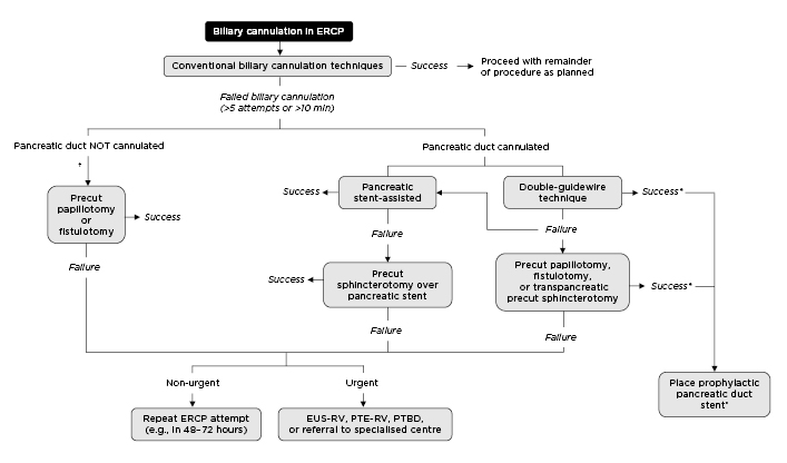 Figure 2 A proposed management algorithm for difficult biliary cannulation.