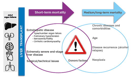 Figure 1 Main drivers of mortality after liver transplantation