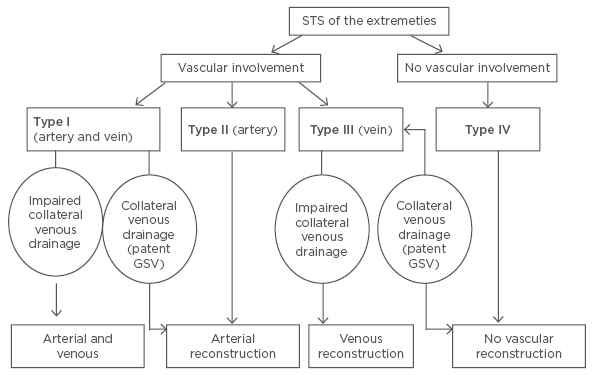 Figure 1 Classification of vascular involvement and treatment algorithm for patients with soft tissue sarcomas of the e