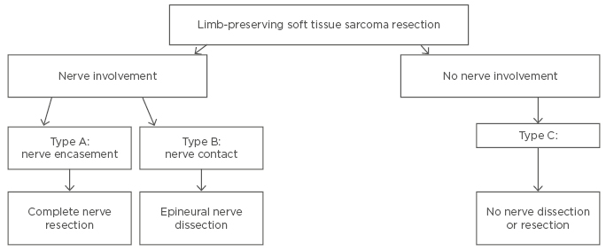 Figure 2 Classification of sciatic nerve involvement and surgical treatment algorithm for lower limb STS.15