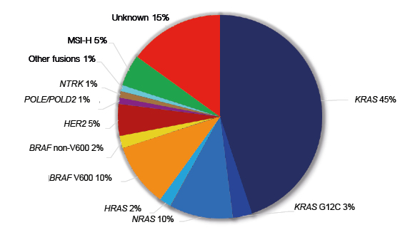 Figure 2 Molecular alterations with therapeutic implications in metastatic colorectal cancer