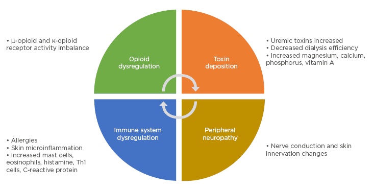 Figure 1 Proposed pathophysiology of chronic kidney disease-associated pruritus