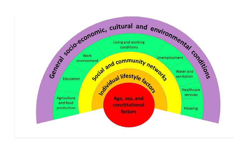 Figure 1 The Dahlgren and Whitehead model maps the relationship between the individual, their environment,