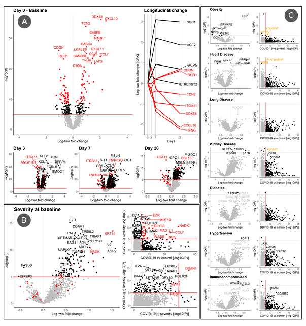 Figure 1- Proteins associated with COVID-19 disease onset, severity, and pre-existing conditions at baseline.