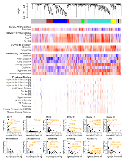 Figure 2- Comparison of protein modules associated with COVID-19 and disease-related pre-existing conditions and complications.