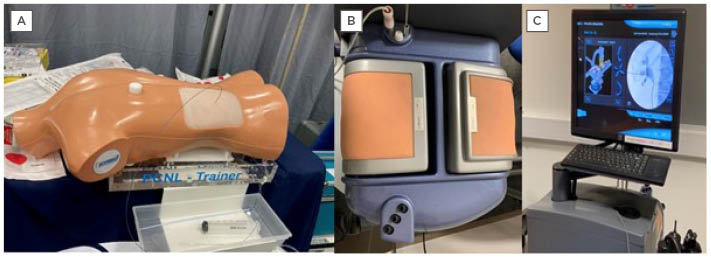 Figure 1 An example of a commercially available benchtop model available for percutaneous nephrolithotomy training