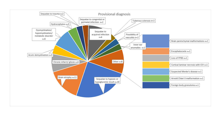 Provisional diagnosis in the study population