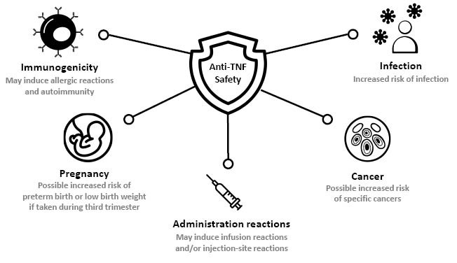Figure 1 Summary of anti-TNF safety concerns in immune-mediated disease
