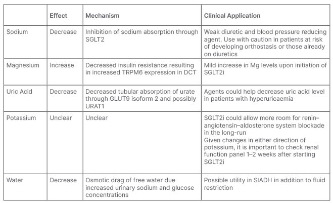 Table 1 Clinical applications of biochemical effects of sodium–glucose co-transporter inhibitors