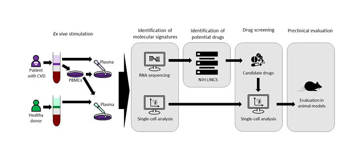 Figure 1 Single cell driven drug repositioning to treat atherosclerosis