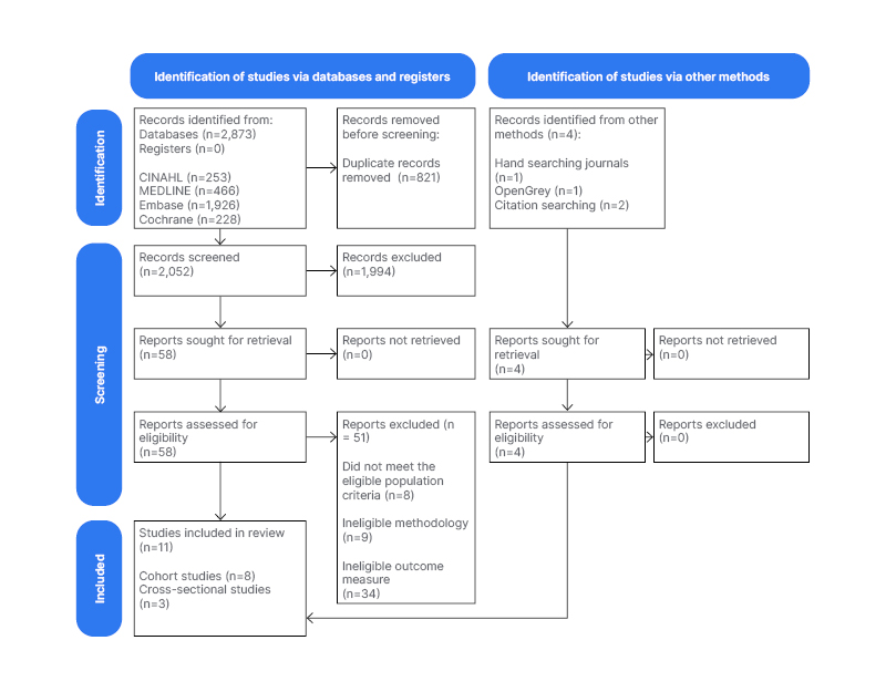 Figure 1 Preferred Reporting Items for Systematic Reviews and Meta-Analyses (PRISMA) flow diagram of selection of study