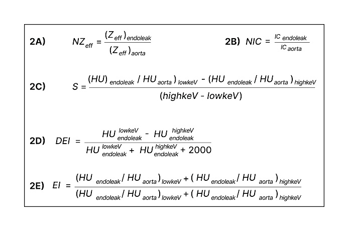 Figure 2 Parameters calculated with DECTA imaging data