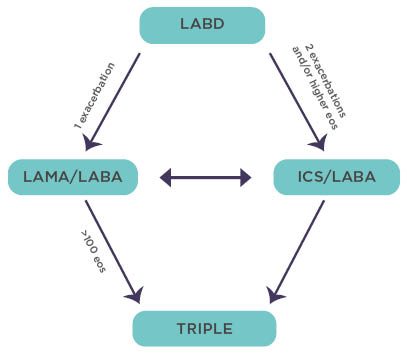 Figure 3 The Global Initiative for Chronic Obstructive Lung Disease recommendations for escalation of inhaled thera