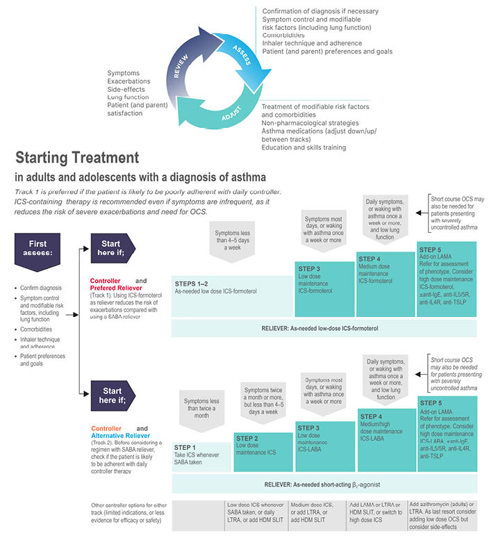 Figure 1 The 2022 Global Initiative for Asthma recommendation advocate a 2-track approach to asthma management