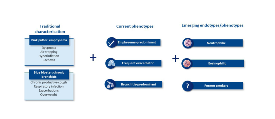 Figure 2: Chronic obstructive pulmonary disease is a complex and heterogeneous airway disease with multiple phenotypes and emerging endotypes.