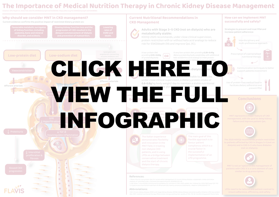 The Importance of Medical Nutrition Therapy in Chronic Kidney Disease Management infographic