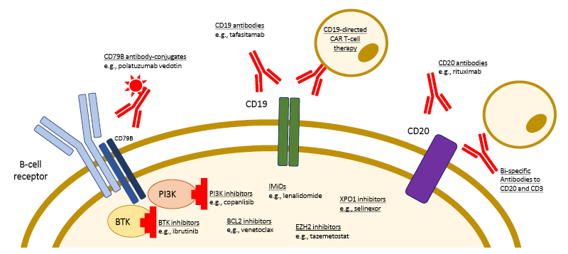 Figure 1 - Targets of novel therapeutic approaches for the treatment of patients with relapsedrefractory