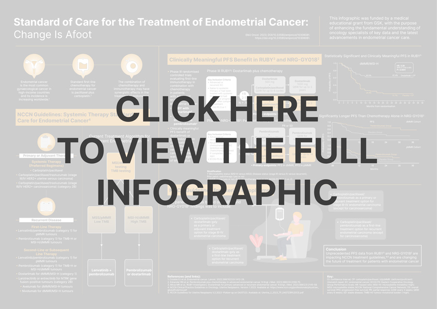 Standard of Care for the Treatment of Endometrial Cancer: Change Is Afoot