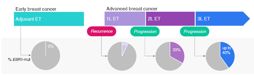 An emerging generation of endocrine therapies in breast cancer: a clinical  perspective