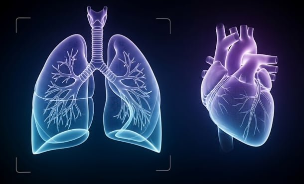 Respiratory and Cardiovascular Diseases: A Genetic Link? - EMJ