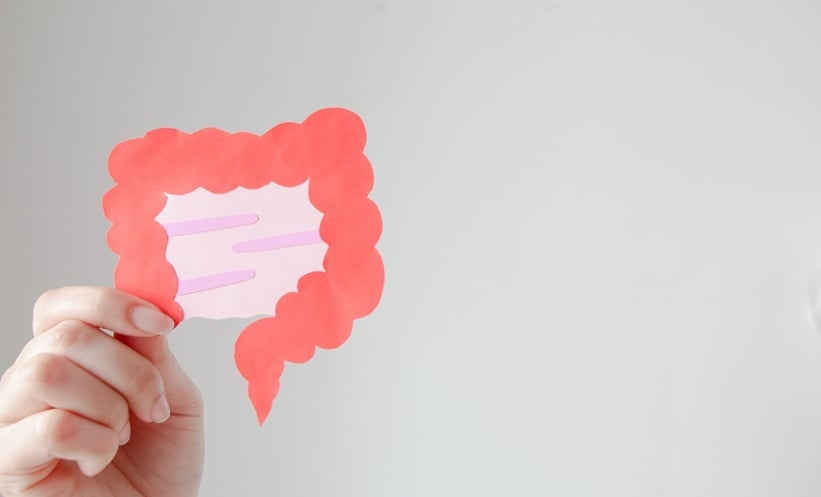Hand holding a red paper cutout shaped like an intestine against a light background
