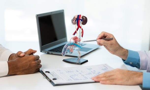 Doctor consults with a male patient and points to an anatomical model while discussing prostate cancer risk stratification and treatment options.